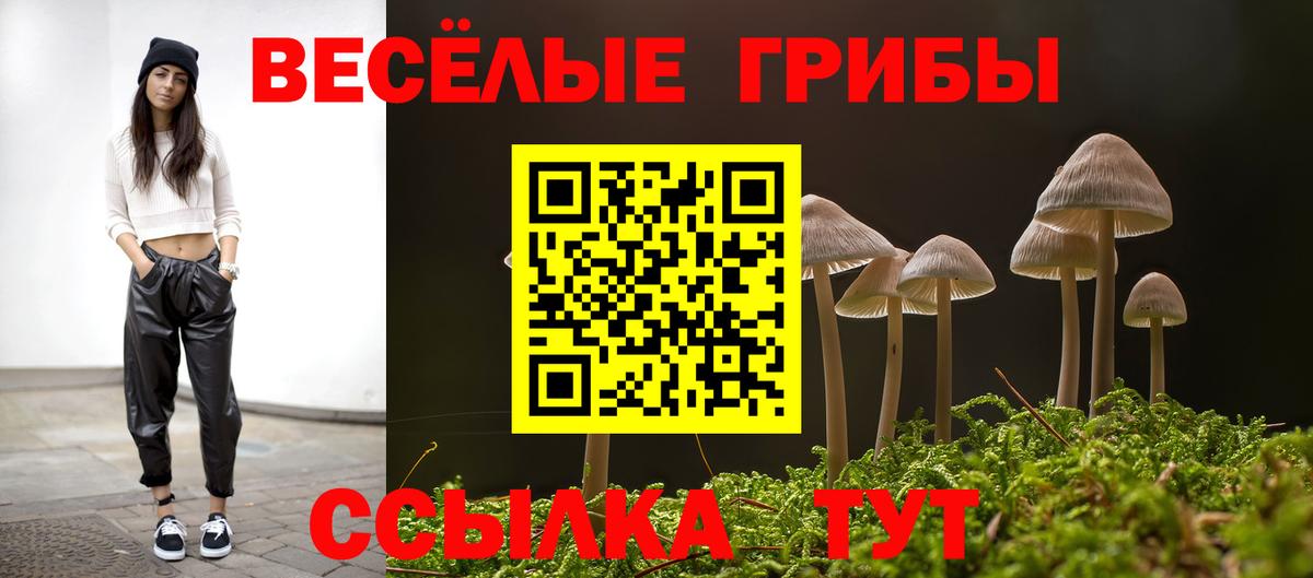 Псилоцибиновые грибы MAGIC MUSHROOMS  Вход с VPN  Сунжа 